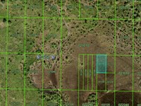 Hunting Access Lot in River Ranch : Frostproof : Polk County : Florida