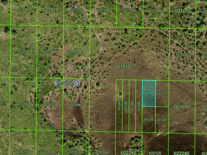 Hunting Access Lot in River Ranch : Frostproof : Polk County : Florida