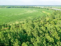 Irrigated Farm & Hunting Ranch : Haworth : McCurtain County : Oklahoma