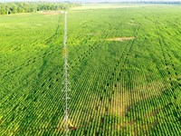 Irrigated Farm & Hunting Ranch : Haworth : McCurtain County : Oklahoma