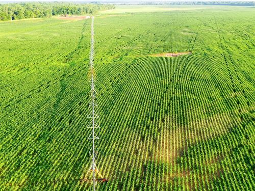 Irrigated Farm & Hunting Ranch : Haworth : McCurtain County : Oklahoma