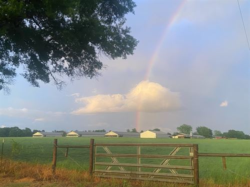 Poultry Farm Homestead 80 Acres : Winthrop : Little River County : Arkansas