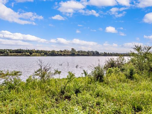 Duck Island : Bagwell : Red River County : Texas