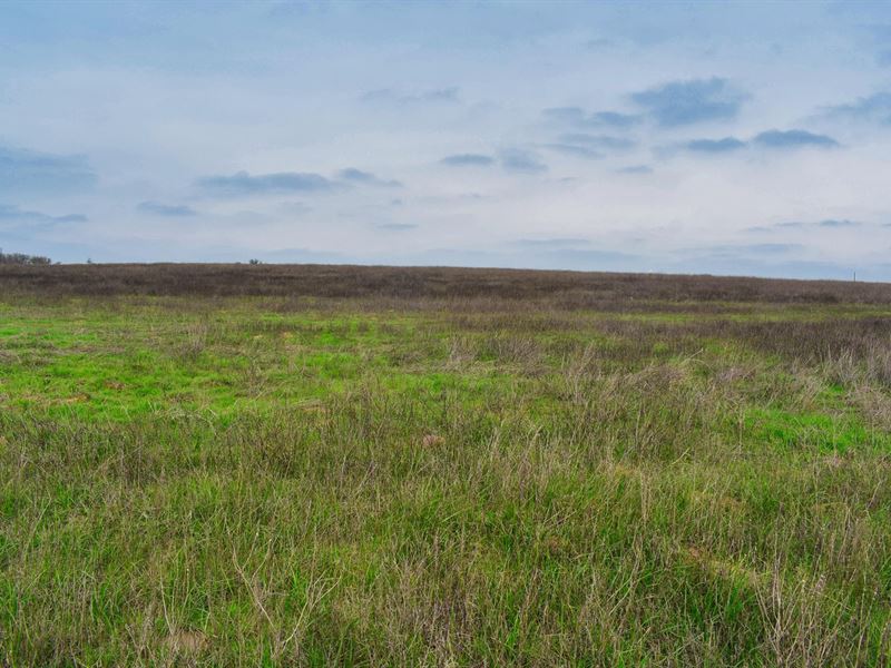 2.6+ Acres Near Austin, TX : Kingsbury : Guadalupe County : Texas