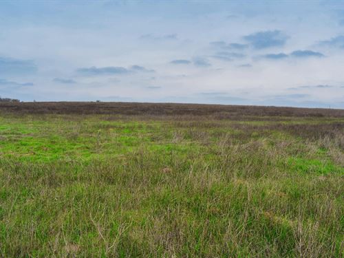 2.6+ Acres Near Austin, TX : Kingsbury : Guadalupe County : Texas