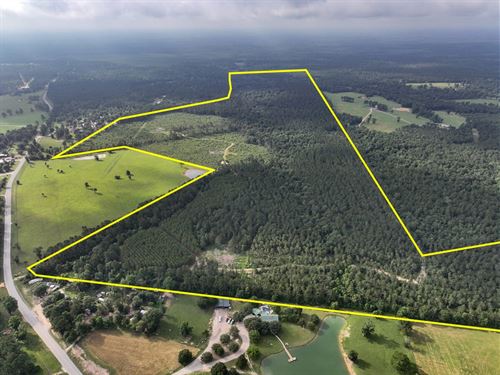 250 Acres, FM 1725 : Willis : San Jacinto County : Texas