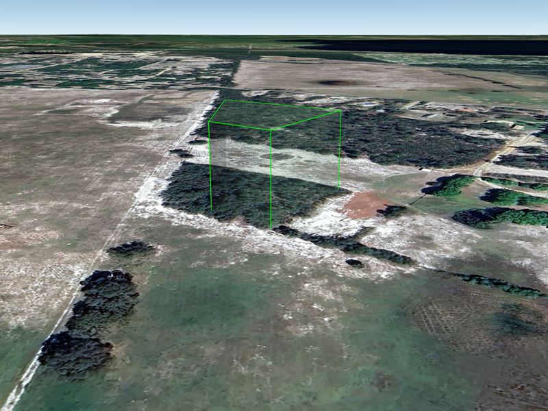 Ag Zoned Lot in FL, Just $253/Mo : Crescent City : Putnam County : Florida