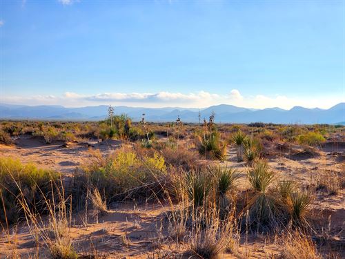 Unrestricted Land Near El Paso, TX : Texas City : El Paso County : Texas