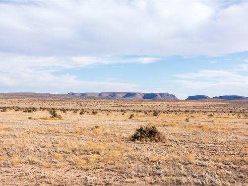 Off Grid Investment : Sierra Blanca : Hudspeth County : Texas