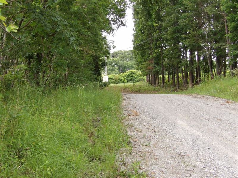 No Restrictions, Road Frontage : Evensville : Bledsoe County : Tennessee