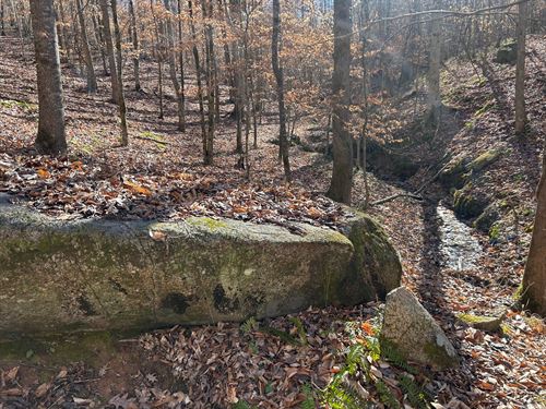 16 Acres, CR 111, Coosa County : Goodwater : Coosa County : Alabama