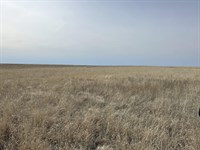 Crowley County Crp Tract12, 24013.2 : Sugar City : Crowley County : Colorado