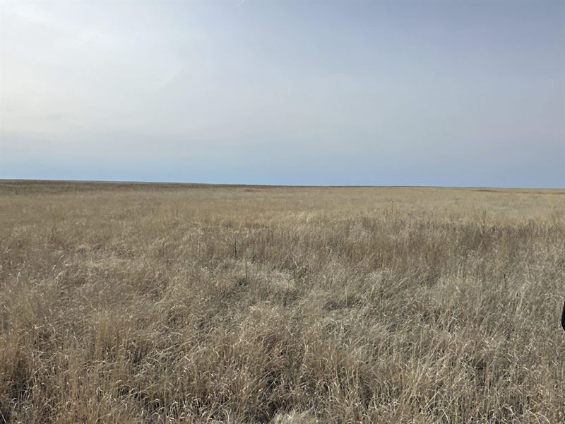 Crowley County Crp Tract12, 24013.2 : Sugar City : Crowley County : Colorado