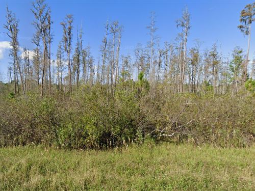 1 Acre Vacant Investment Land : Polk City : Polk County : Florida