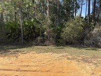 Buildable Lot, Interlachen, Florida : Interlachen : Putnam County : Florida