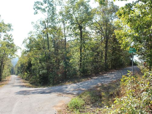 .29 Acre in Sharp County, AR : Cherokee Village : Sharp County : Arkansas