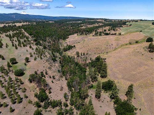 Friend Ranch 687 : Dufur : Wasco County : Oregon
