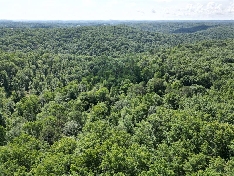 East Bernstadt Kentucky 370 : East Bernstadt : Laurel County : Kentucky