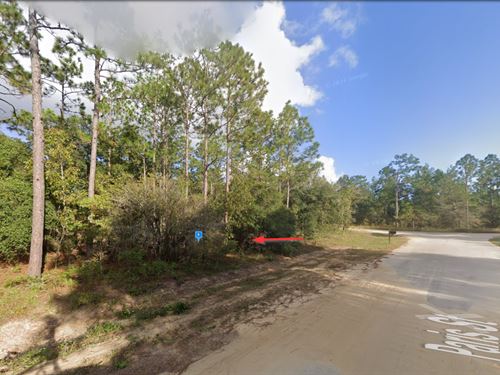 Prime Lot in Interlachen, FL $311/M : Interlachen : Putnam County : Florida