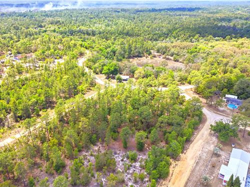Prime Lot in Interlachen, FL $311/M : Interlachen : Putnam County : Florida