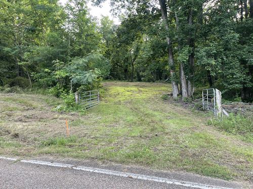 Hunting Land, Creek, 100 Acres : Sardis : Hardin County : Tennessee