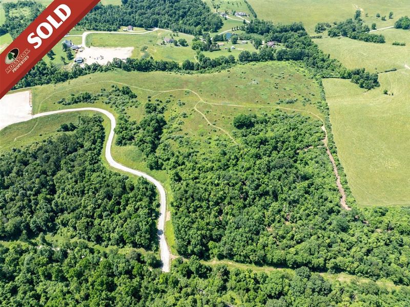 Saffel Rd, 35 Acres : Belmont : Belmont County : Ohio