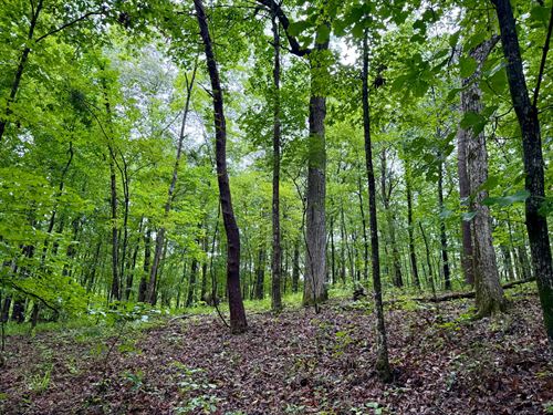 21.66 Ac Shelby County, AL : Vandiver : Shelby County : Alabama