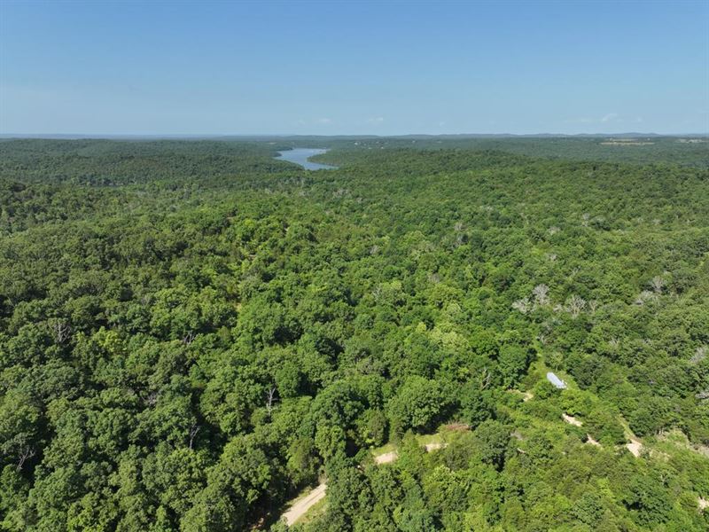 126 Acres of in Southern Missouri : Gainesville : Ozark County : Missouri