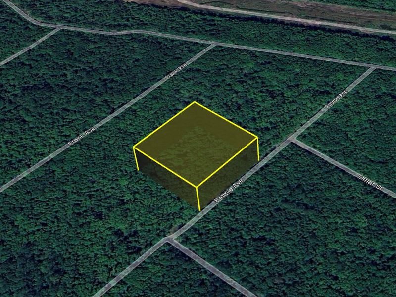 Big Land, Tiny Price $99 Down Today : Hastings : Flagler County : Florida