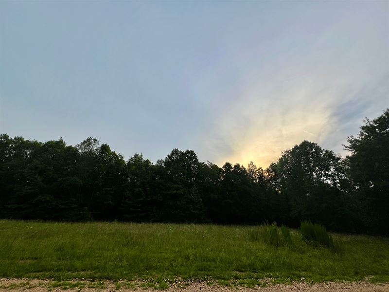 1.25 Buildable Acres : Waterloo : Lauderdale County : Alabama