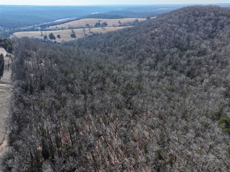73 Wooded Acres in Ozark County : Gainesville : Ozark County : Missouri
