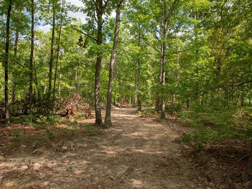 $999 Down, Own Land in Dent County : Lennox : Dent County : Missouri