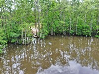 Tickfaw River Homesite And Cove : Killian : Livingston Parish : Louisiana