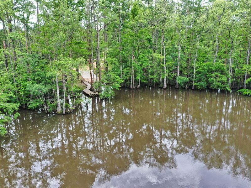 Tickfaw River Homesite and Cove : Killian : Livingston Parish : Louisiana
