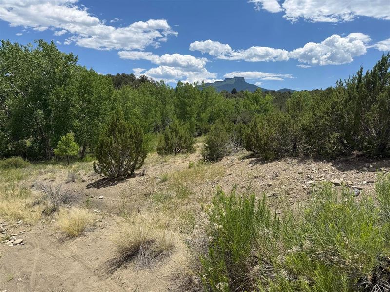 Santa Fe Trail Drive, Trinidad : Trinidad : Las Animas County : Colorado