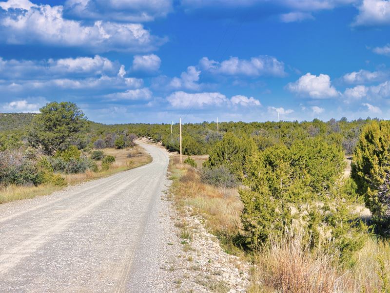 20 Acre Ranch with Power : Estancia : Torrance County : New Mexico