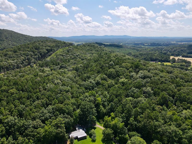 Sycamore Hunting & Timber Tract 80 : Alpine : Talladega County : Alabama