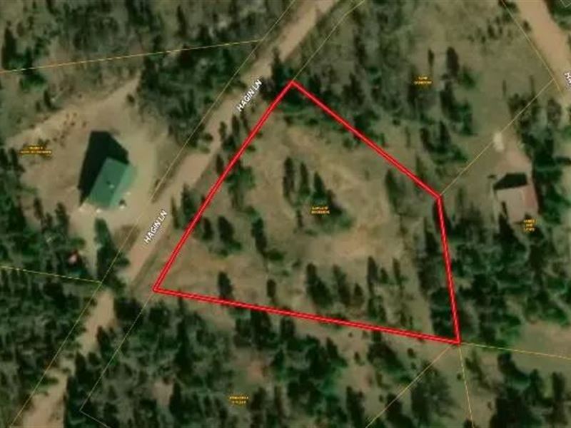 289 Hagin Lane, Ft Garland, CO 811 : Fort Garland : Costilla County : Colorado