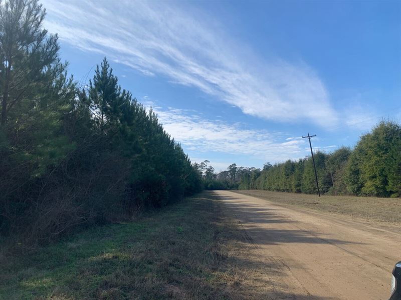 42 Acres, T-1, Nursery Road : Indian Springs : Polk County : Texas