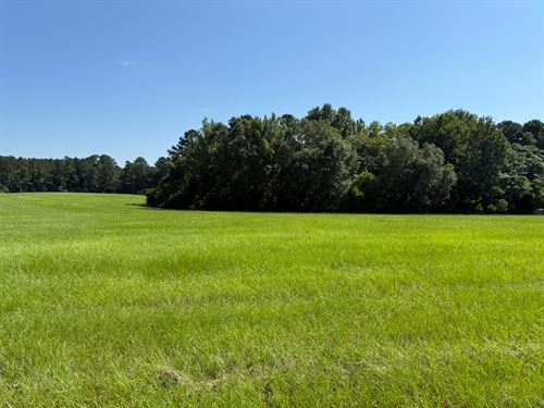 High Score 97 : Ariton : Dale County : Alabama