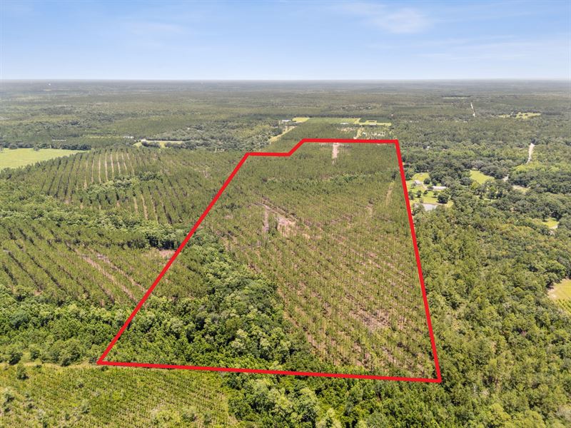 Bray Tract Lot 2 : Hilliard : Nassau County : Florida