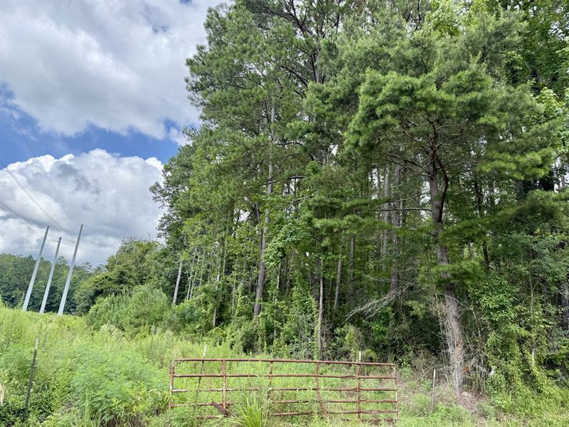 2194 Hwy 570 E, Summit, MS : Summit : Pike County : Mississippi