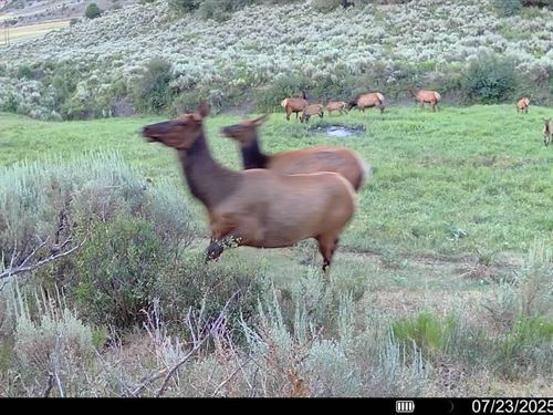 Oak Meadows Ranch : Meeker : Rio Blanco County : Colorado