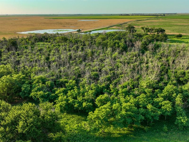 Kiowa County Farm & Hunt : Haviland : Kiowa County : Kansas