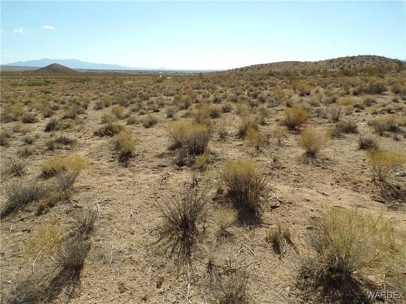 Majestic Valle Vista Mohave : Valle Vista : Mohave County : Arizona