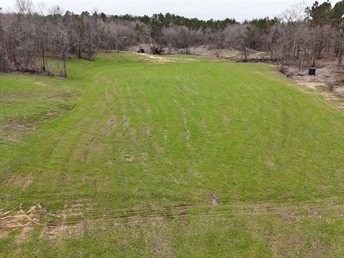 221 Acres in Marshall County, MS : Lamar : Mississippi