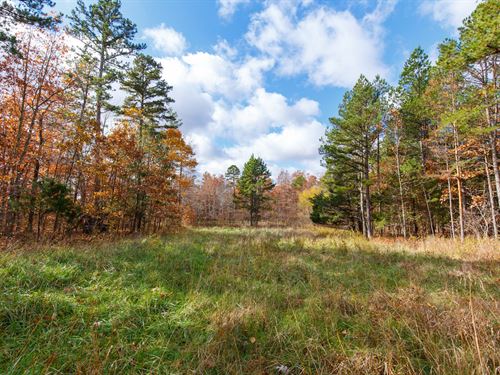$999 Down/No Credit Check : Ellington : Reynolds County : Missouri