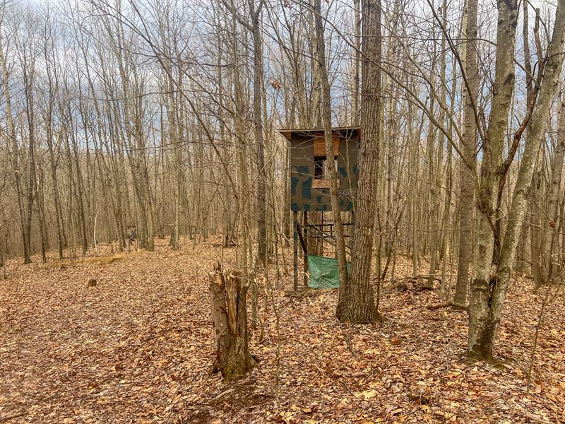Ponetown/Hutt Rd Lot 4 : Ray : Vinton County : Ohio