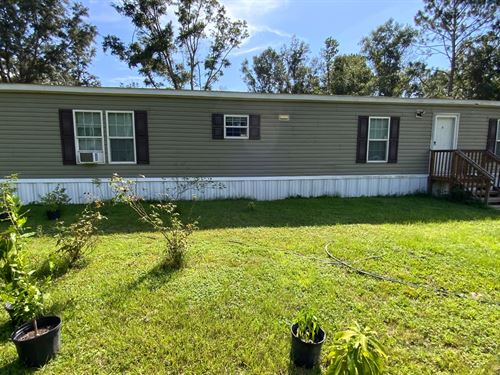 Lots Of Privacy : Mc Alpin : Suwannee County : Florida