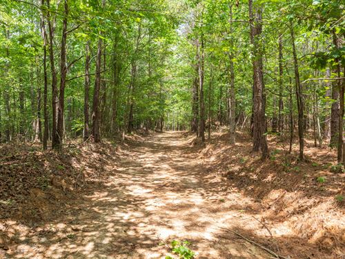 $999 Down/No Credit Check : Lexington : Henderson County : Tennessee
